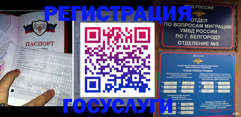 временная регистрация в квартире в Курской области